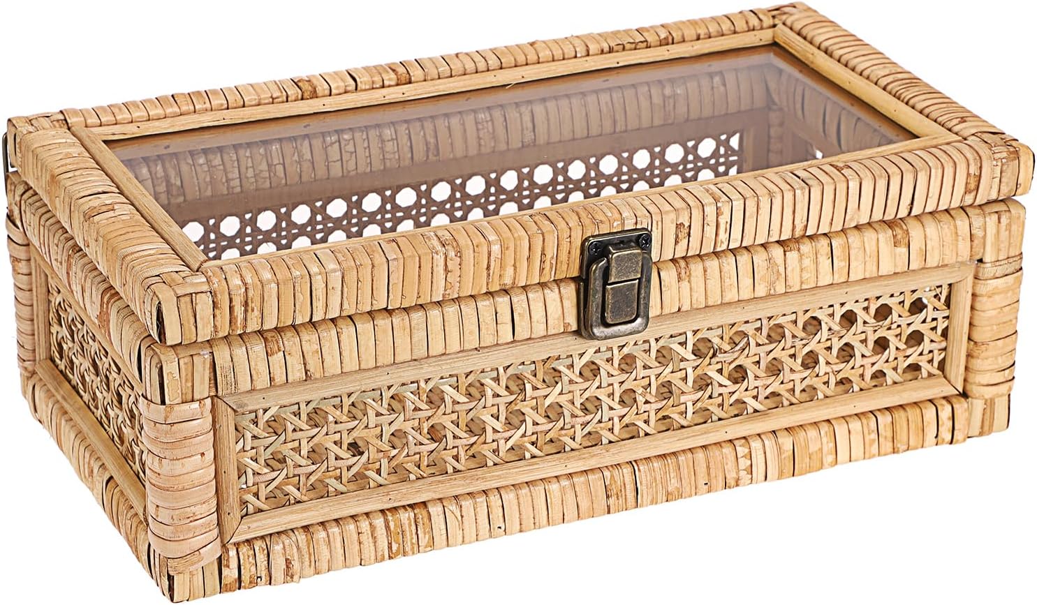 Clear Lid Lockable Rattan Storage Box