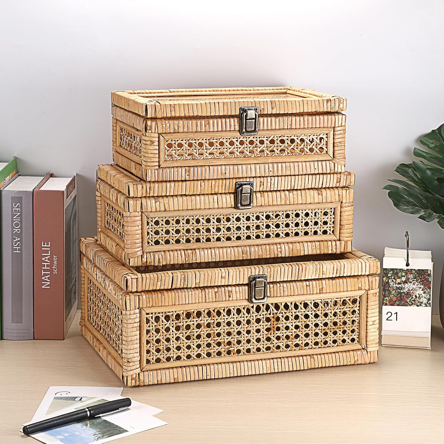 Clear Lid Lockable Rattan Storage Box